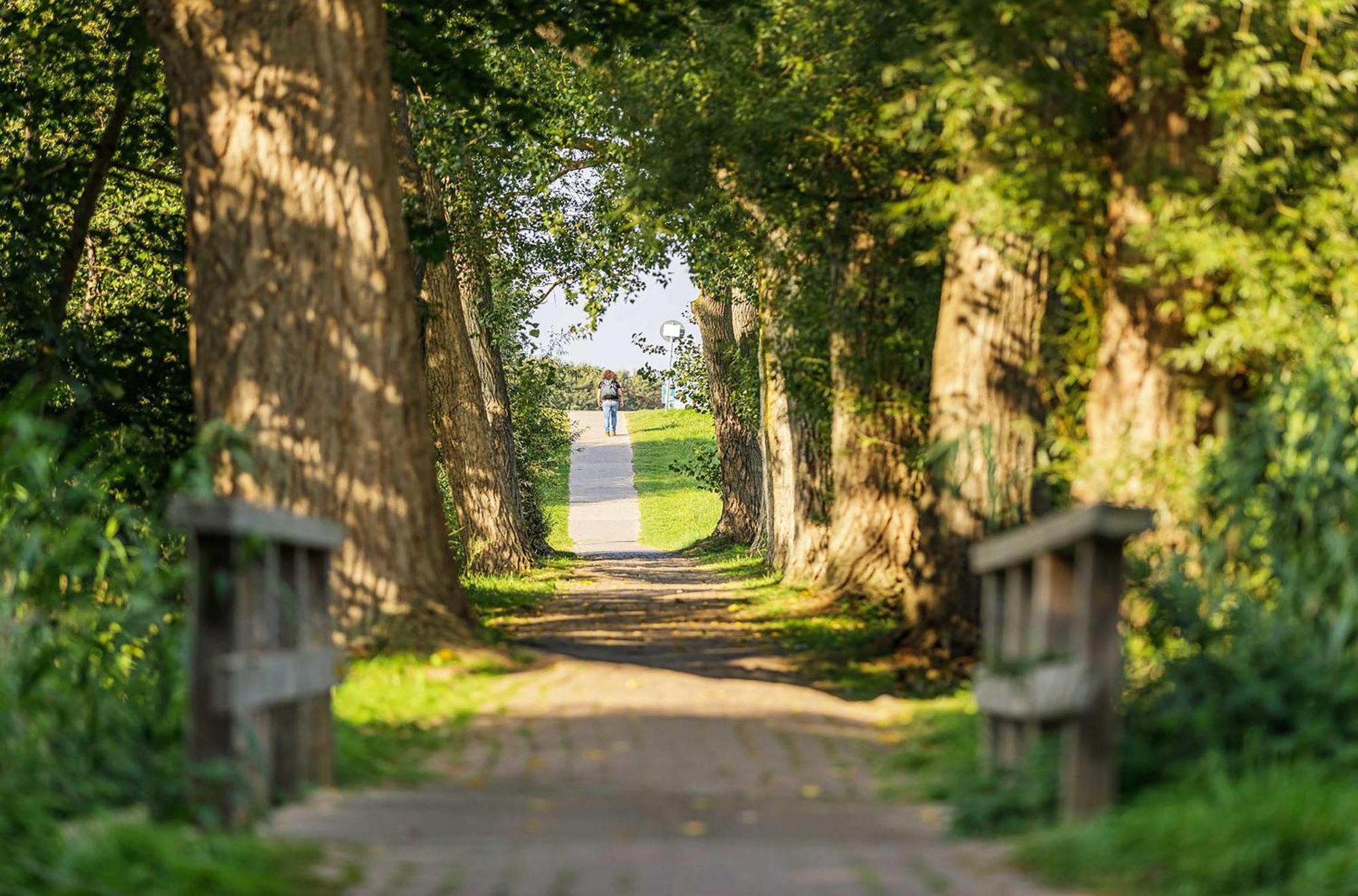 Achterndieck In Der Alten Seefahrtschule Wustrow  Exteriör bild